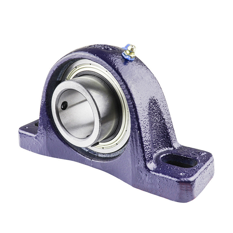 RHP NP2-7/8 Two Bolt Cast Iron Pillow Block and 2-7/8 Bore Grub Screw Full Width Insert