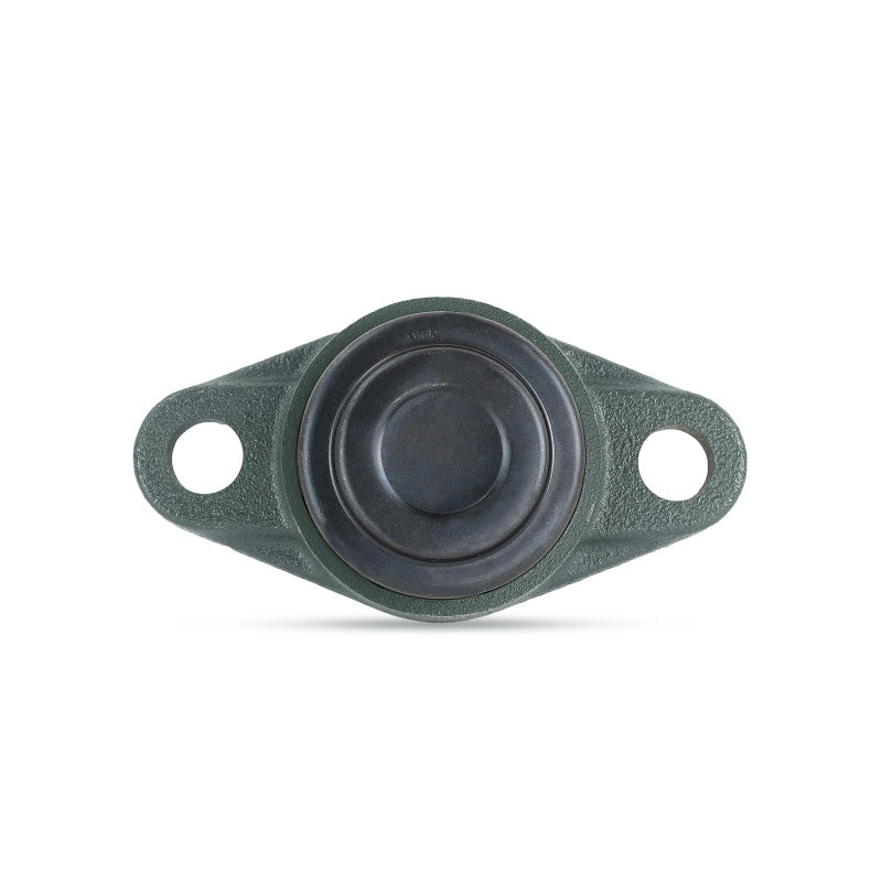 NTN SM-UCFL206-101D1 Imperial Two Bolt Oval Cast Iron Flange Housing with 1-1/16 inch Bore Insert with Steel Plate Cover - Closed Version - Allow 2-3 Days